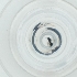  (Toxeuma fuscicorne - LWTC_009_E6)  @11 [ ] by  Genome Research Ltd as Wellcome Sanger Institute Genome Research Limited operating as Wellcome Sanger Institute