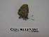  ( - CSU-CPG-LEP-0253)  @12 [ ] Copyright (2009) Unspecified Colorado State University