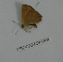  ( - CSU-CPG-LEP-0304)  @12 [ ] Copyright (2009) Unspecified Colorado State University