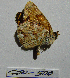  ( - CSU-CPG-LEP-0500)  @12 [ ] Copyright (2009) Unspecified Colorado State University
