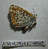  ( - CSU-CPG-LEP-0547)  @11 [ ] Copyright (2009) Unspecified Colorado State University