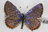  ( - CSU-CPG-LEP-0676)  @11 [ ] CreativeCommons - Attribution (2009) Unspecified Unspecified