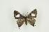  ( - BC-TB9510)  @11 [ ] Copyright (2012) Thierry Bouyer Research Collection of Thierry Bouyer
