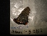  ( - MAL-04527)  @12 [ ] Unspecified (default): All Rights Reserved  Unspecified Unspecified