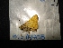  (Hedone - MAL-04708)  @12 [ ] Unspecified (default): All Rights Reserved  Unspecified Unspecified