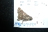  ( - MAL-04731)  @12 [ ] Unspecified (default): All Rights Reserved  Unspecified Unspecified
