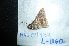  ( - MAL-04732)  @12 [ ] Unspecified (default): All Rights Reserved  Unspecified Unspecified