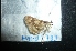  ( - MAL-04733)  @12 [ ] Unspecified (default): All Rights Reserved  Unspecified Unspecified
