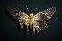  ( - MAL-04735)  @12 [ ] Unspecified (default): All Rights Reserved  Unspecified Unspecified