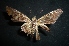  ( - MAL-04736)  @12 [ ] Unspecified (default): All Rights Reserved  Unspecified Unspecified