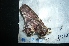  ( - MAL-04742)  @12 [ ] Unspecified (default): All Rights Reserved  Unspecified Unspecified