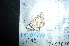  ( - MAL-04747)  @11 [ ] Unspecified (default): All Rights Reserved  Unspecified Unspecified