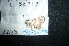  ( - MAL-04749)  @11 [ ] Unspecified (default): All Rights Reserved  Unspecified Unspecified
