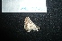  ( - MAL-04750)  @11 [ ] Unspecified (default): All Rights Reserved  Unspecified Unspecified