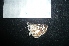  ( - MAL-04751)  @11 [ ] Unspecified (default): All Rights Reserved  Unspecified Unspecified