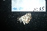  ( - MAL-04752)  @11 [ ] Unspecified (default): All Rights Reserved  Unspecified Unspecified