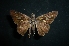  ( - MAL-04780)  @14 [ ] Unspecified (default): All Rights Reserved  Unspecified Unspecified