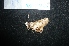  ( - MAL-04804)  @12 [ ] Unspecified (default): All Rights Reserved  Unspecified Unspecified