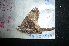  ( - MAL-04819)  @12 [ ] Unspecified (default): All Rights Reserved  Unspecified Unspecified