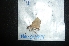  ( - MAL-04844)  @12 [ ] Unspecified (default): All Rights Reserved  Unspecified Unspecified