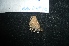  ( - MAL-04848)  @12 [ ] Unspecified (default): All Rights Reserved  Unspecified Unspecified