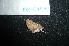  ( - MAL-04849)  @12 [ ] Unspecified (default): All Rights Reserved  Unspecified Unspecified