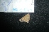  ( - MAL-04850)  @12 [ ] Unspecified (default): All Rights Reserved  Unspecified Unspecified
