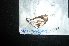  ( - MAL-04854)  @12 [ ] Unspecified (default): All Rights Reserved  Unspecified Unspecified