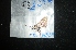  (Vettius onaca - MAL-04858)  @12 [ ] Unspecified (default): All Rights Reserved  Unspecified Unspecified