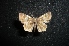  ( - MAL-04880)  @12 [ ] Unspecified (default): All Rights Reserved  Unspecified Unspecified