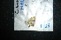  ( - MAL-04901)  @12 [ ] Unspecified (default): All Rights Reserved  Unspecified Unspecified