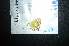  ( - MAL-04902)  @12 [ ] Unspecified (default): All Rights Reserved  Unspecified Unspecified