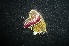  ( - MAL-04911)  @12 [ ] Unspecified (default): All Rights Reserved  Unspecified Unspecified
