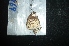 ( - MAL-04969)  @11 [ ] Unspecified (default): All Rights Reserved  Unspecified Unspecified