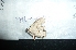  ( - MAL-04980)  @11 [ ] Unspecified (default): All Rights Reserved  Unspecified Unspecified