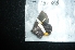  ( - MAL-04989)  @12 [ ] Unspecified (default): All Rights Reserved  Unspecified Unspecified