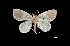  ( - MAL-03860)  @13 [ ] Unspecified (default): All Rights Reserved  Unspecified Unspecified