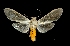  ( - MAL-03666)  @14 [ ] Unspecified (default): All Rights Reserved  Unspecified Unspecified