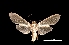  ( - MAL-03666)  @13 [ ] Unspecified (default): All Rights Reserved  Unspecified Unspecified
