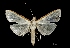  ( - MAL-03598)  @13 [ ] Unspecified (default): All Rights Reserved  Unspecified Unspecified