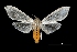  ( - MAL-03600)  @14 [ ] Unspecified (default): All Rights Reserved  Unspecified Unspecified