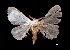  ( - MAL-03692)  @12 [ ] Unspecified (default): All Rights Reserved  Unspecified Unspecified