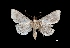  ( - MAL-03630)  @13 [ ] Unspecified (default): All Rights Reserved  Unspecified Unspecified
