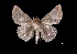  ( - MAL-03687)  @13 [ ] Unspecified (default): All Rights Reserved  Unspecified Unspecified