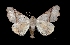  ( - MAL-03565)  @14 [ ] Unspecified (default): All Rights Reserved  Unspecified Unspecified