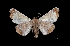  ( - MAL-03565)  @14 [ ] Unspecified (default): All Rights Reserved  Unspecified Unspecified