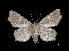  ( - MAL-03601)  @13 [ ] Unspecified (default): All Rights Reserved  Unspecified Unspecified