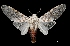  ( - MAL-03649)  @14 [ ] Unspecified (default): All Rights Reserved  Unspecified Unspecified