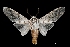  ( - MAL-03649)  @14 [ ] Unspecified (default): All Rights Reserved  Unspecified Unspecified