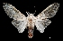  ( - MAL-03553)  @14 [ ] Unspecified (default): All Rights Reserved  Unspecified Unspecified